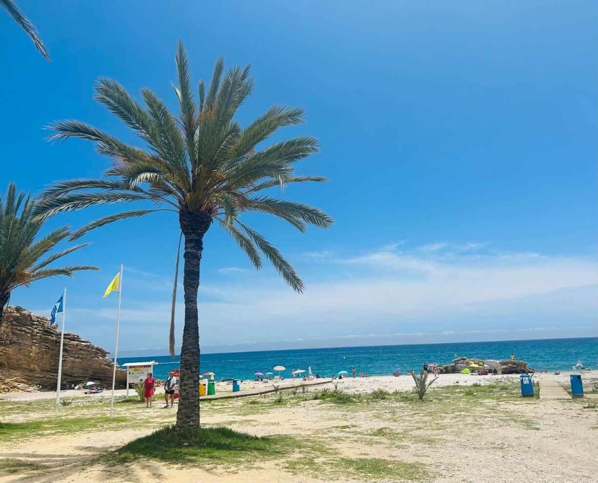 Sol Mediterraneo Palm Beach 3 Villajoyosa Exterior foto